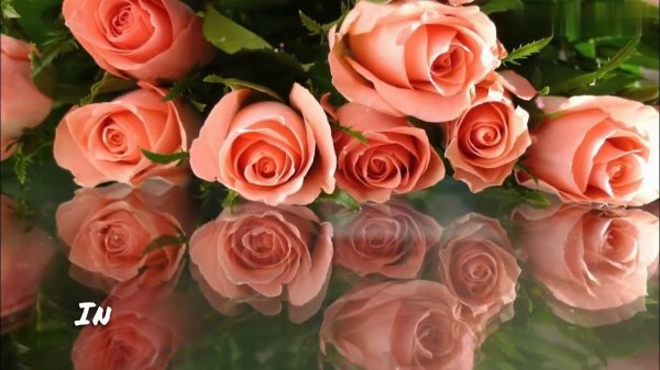 красивое поздравление с днем рождения женщине