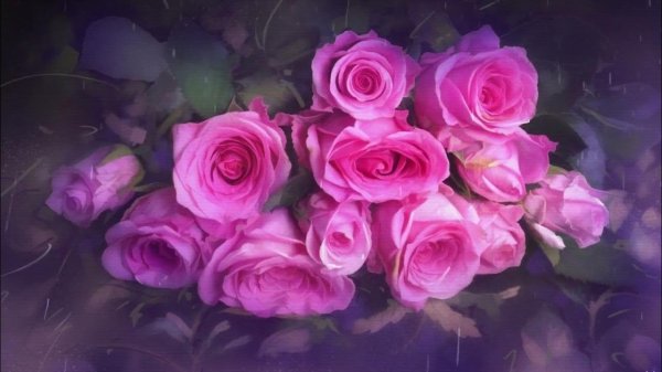 ярко розовые розы