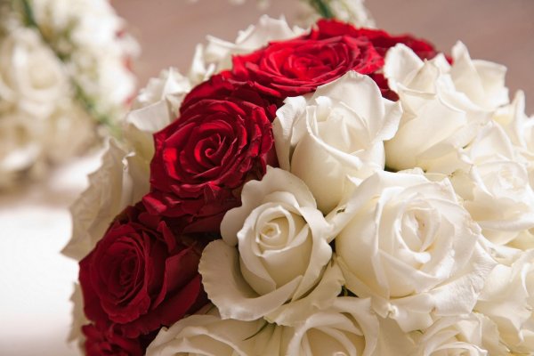 букет цветов шикарный