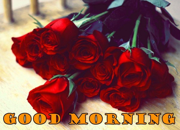 букет роз красивый