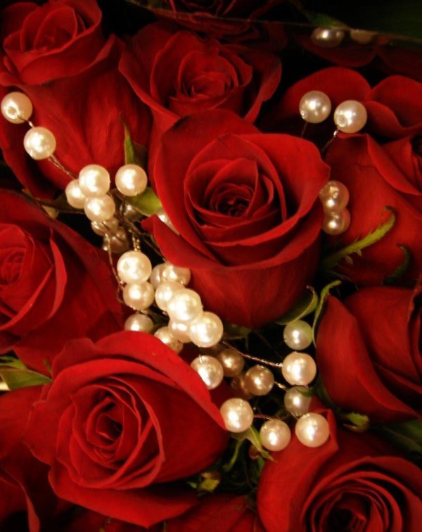 красивый жемчуг