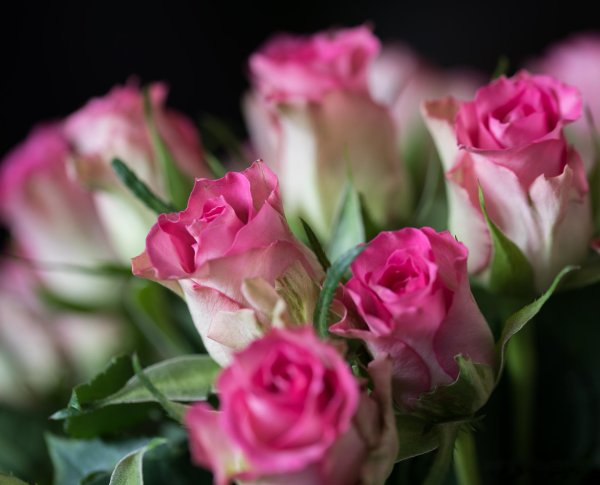 бутоны роз букет