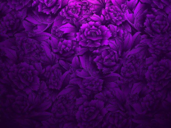 красивые фиолетовые обои