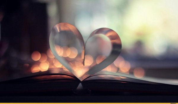 любовь сердца