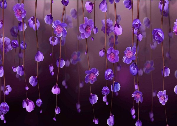 фиолетовые цветочки