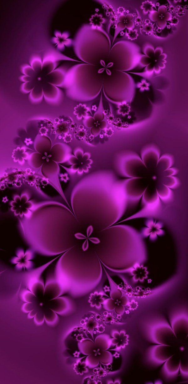 фиолетовые тона