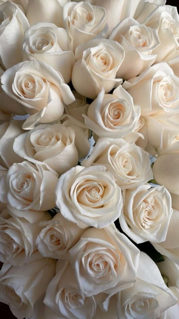 бежевые цветы