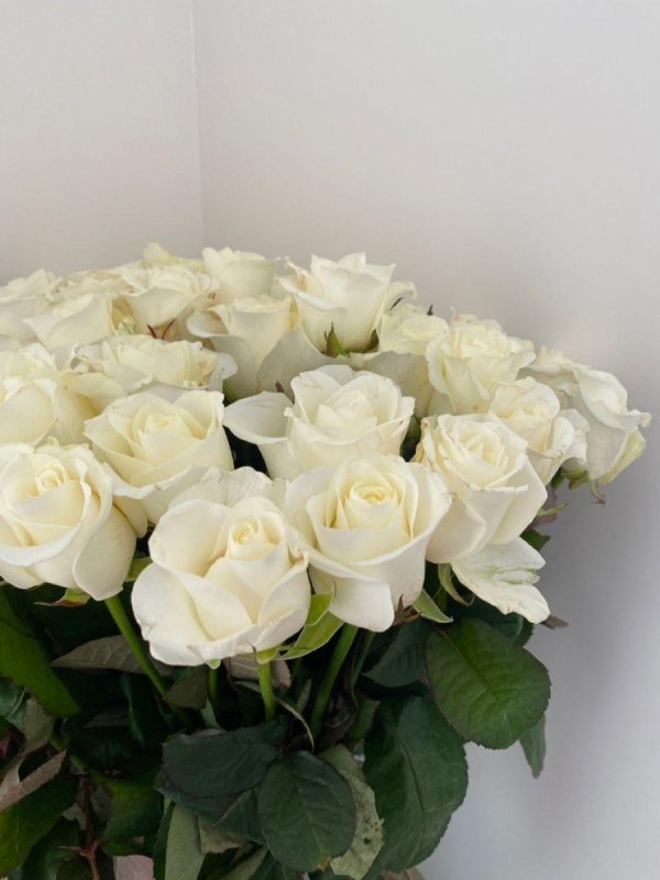 букет из роз белых