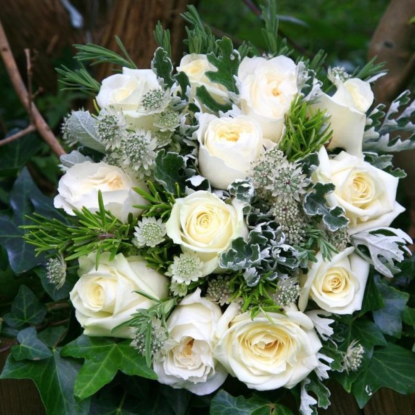 цветов букет