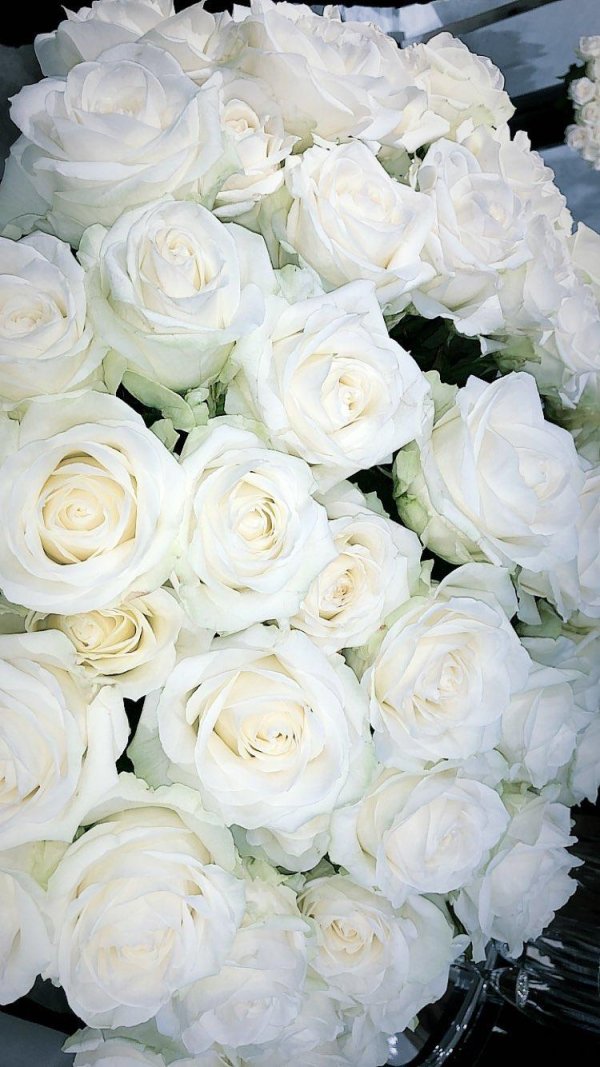 аваланш роза