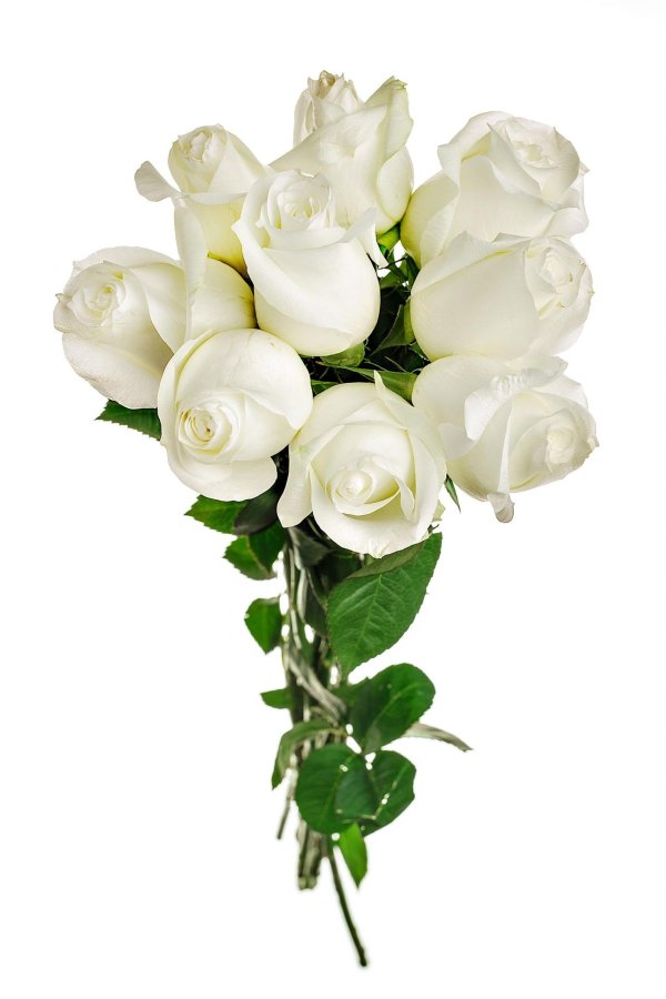 букет из белых роз