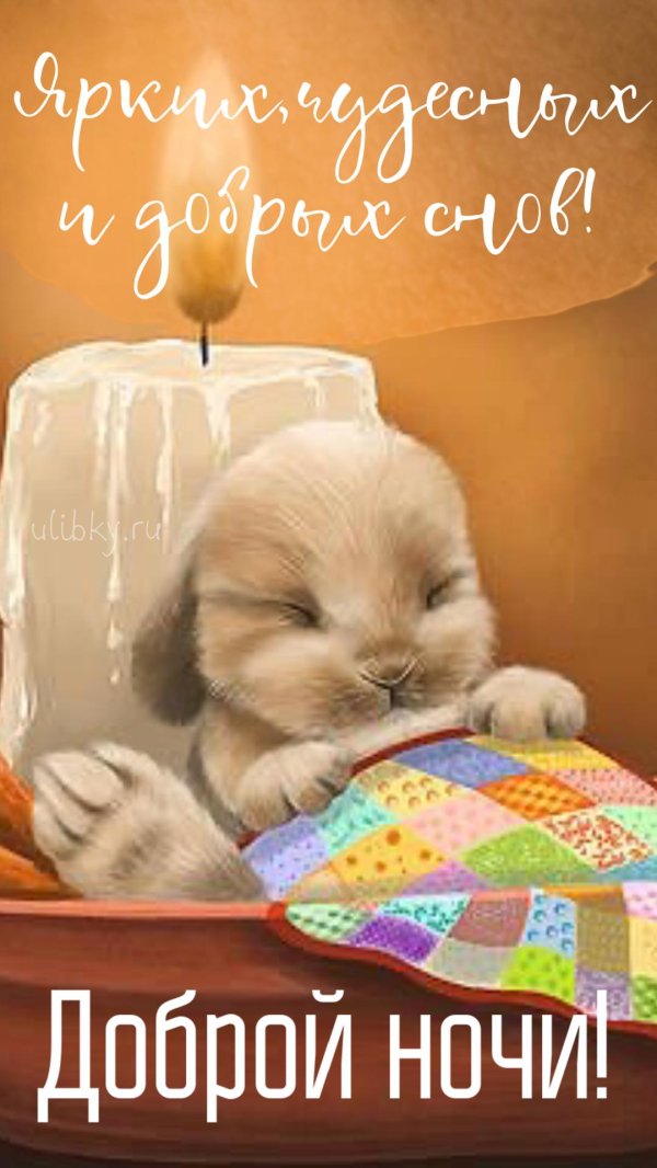 доброй ночи прикольные открытки