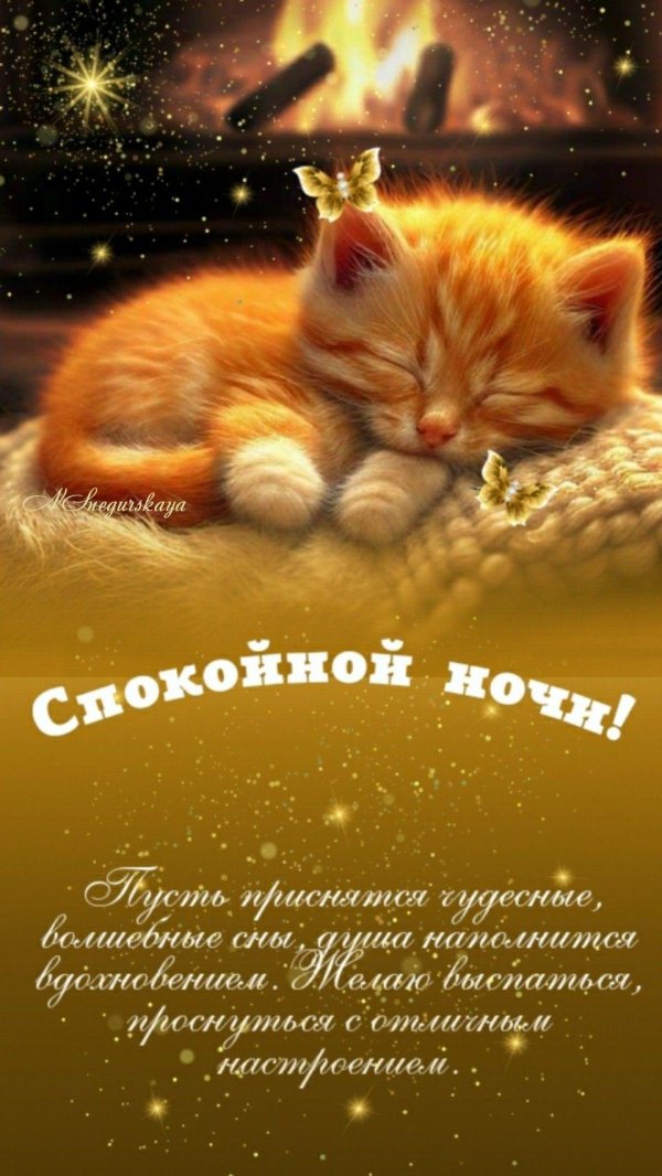 доброй ночи сладких снов