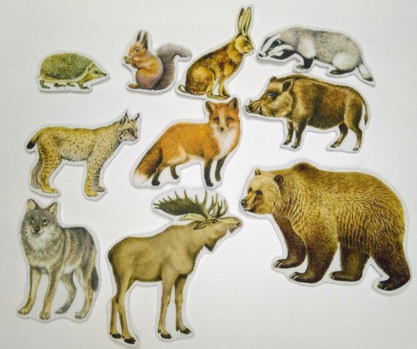 животные лесные