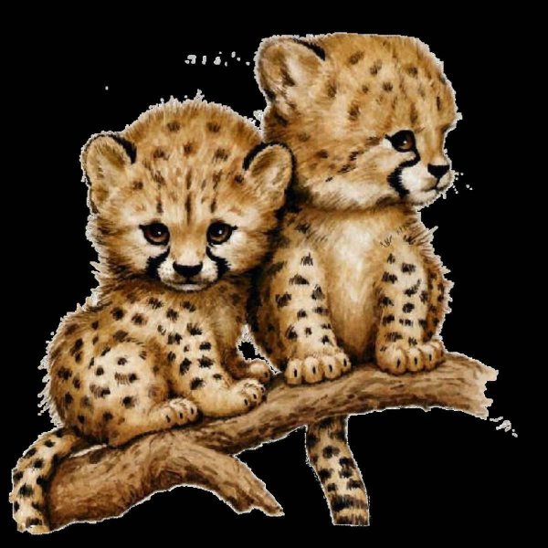 гепард маленький