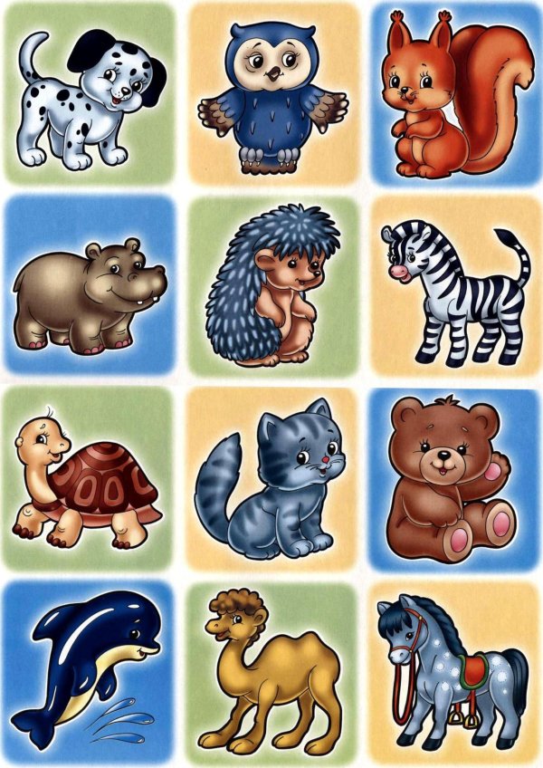 животные для малышей