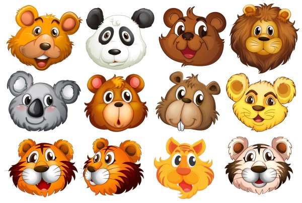 морда медведя