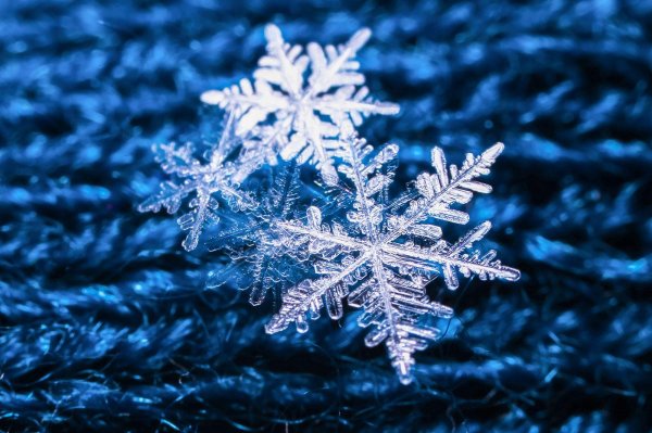 фотографии снежинок