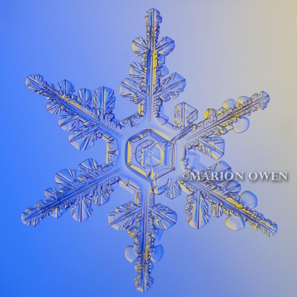 фотографии снежинок