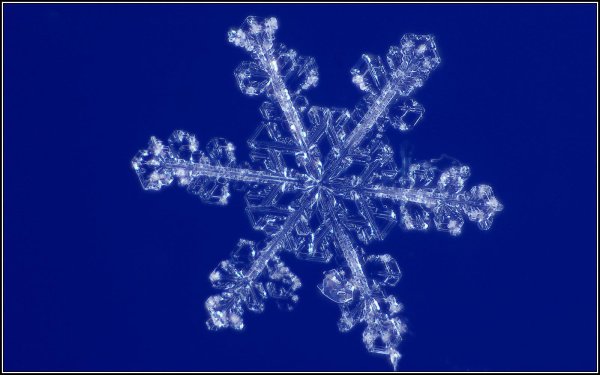 фотографии снежинок