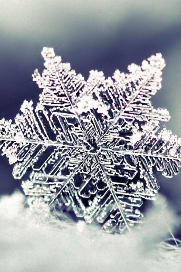 зима снежинка