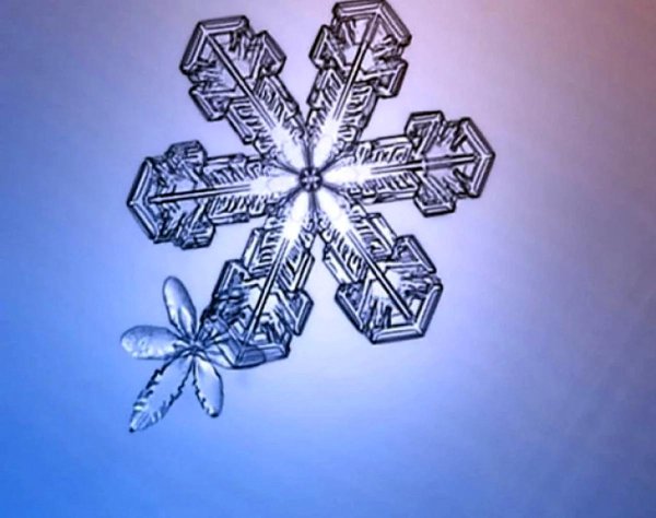 виды снежинок