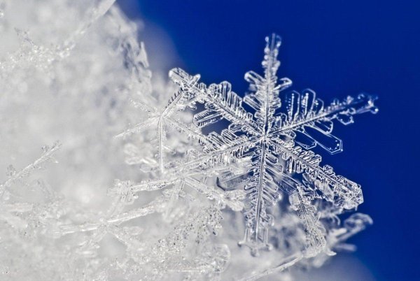 снежинка крупным планом
