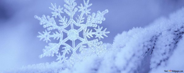 зима снежинка