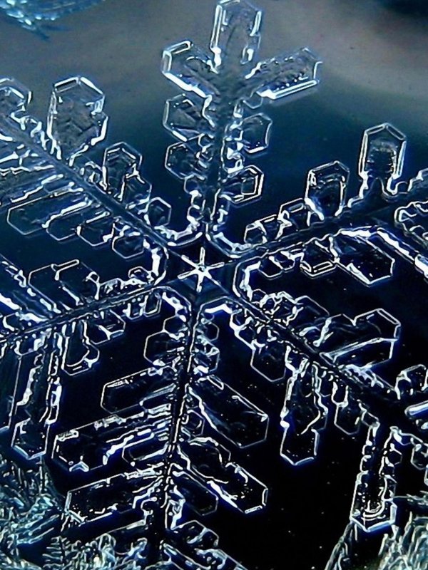 виды снежинок