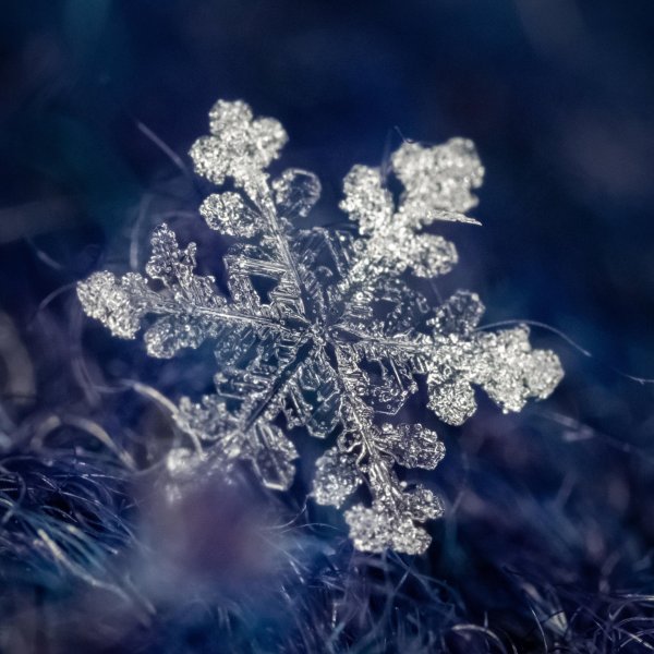 фотографии снежинок