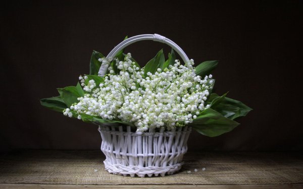 ландыши в корзине