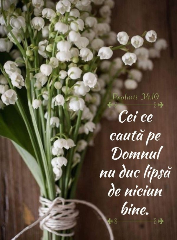 белые ландыши