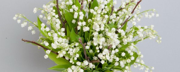 весна ландыши