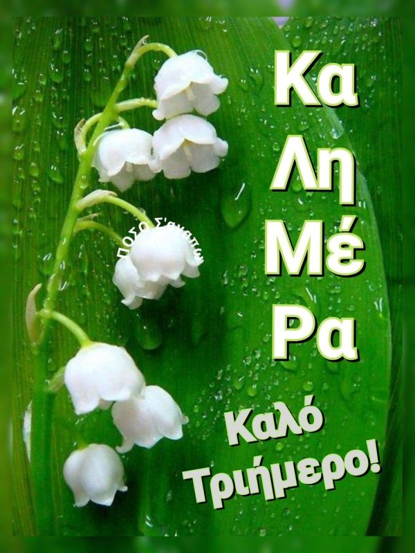 открытка с ландышами