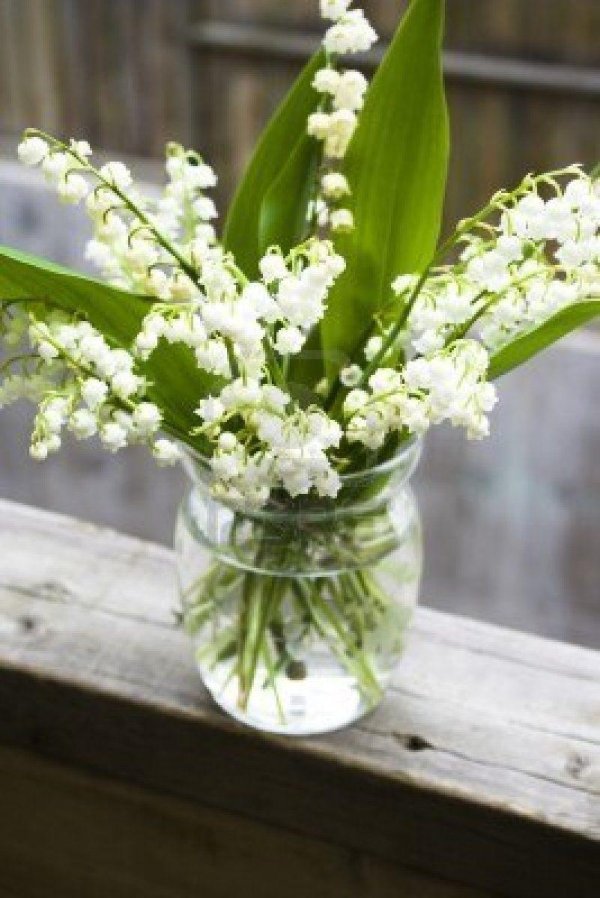 ландыши в вазе