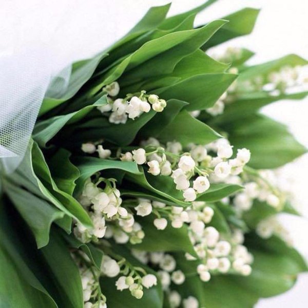 ландыши белый букет