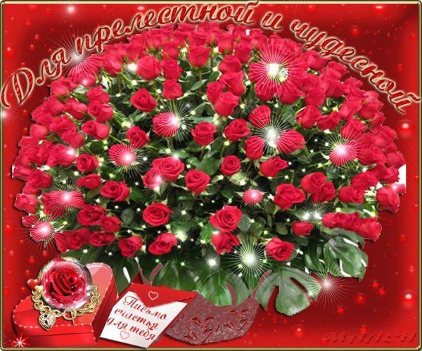 красивые поздравительные букеты