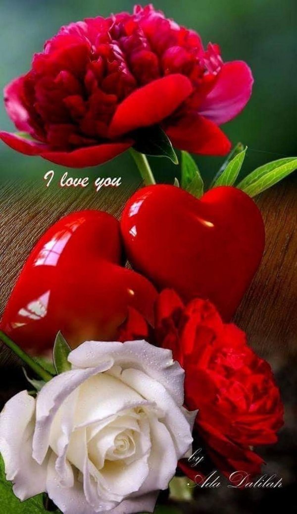 цветы с любовью