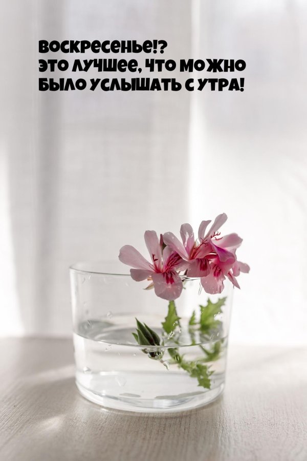 прекрасного весеннего утра