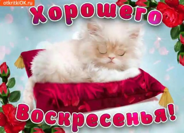 прекрасного воскресения