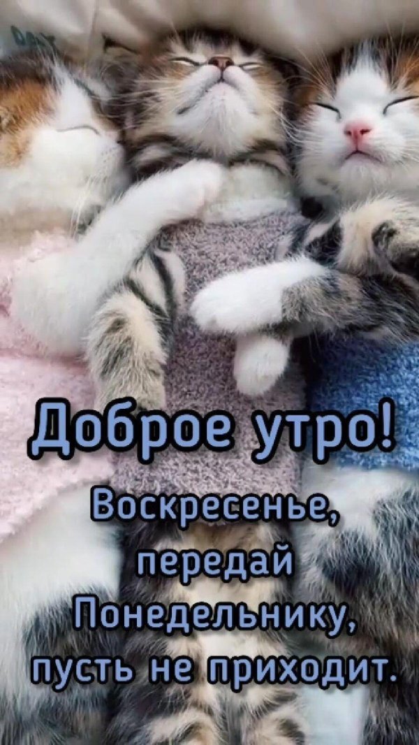 доброго утра воскресения