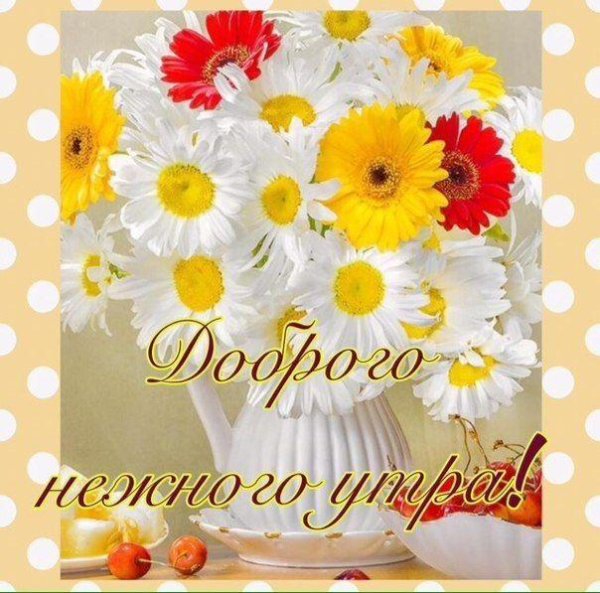 доброго утра с ромашками