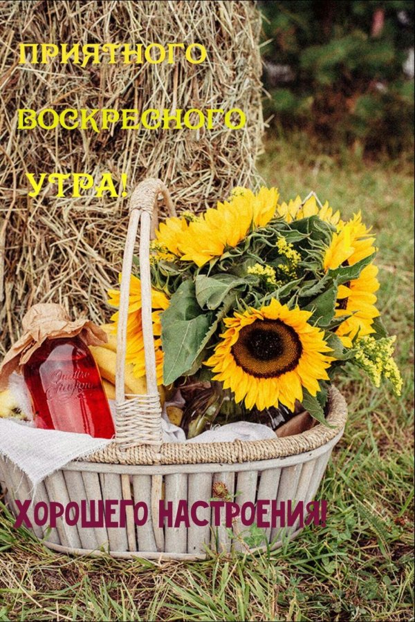 доброе августовское утречко