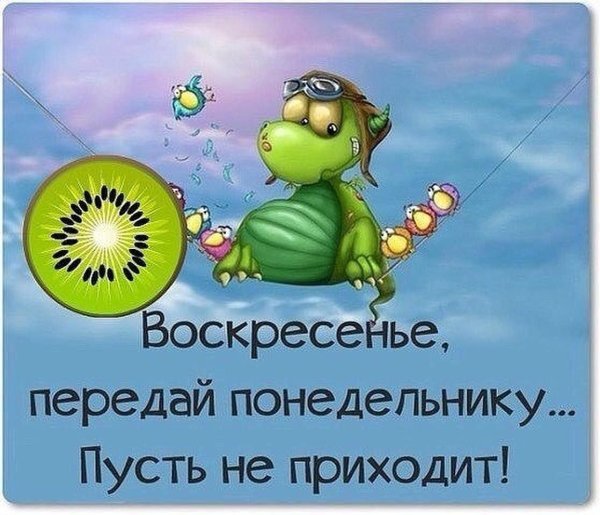 хорошего воскресенья прикольные