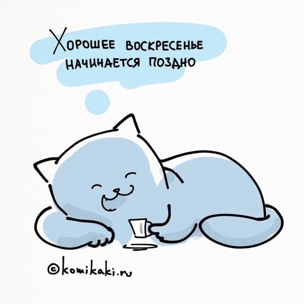 кирилл анастасин комикаки