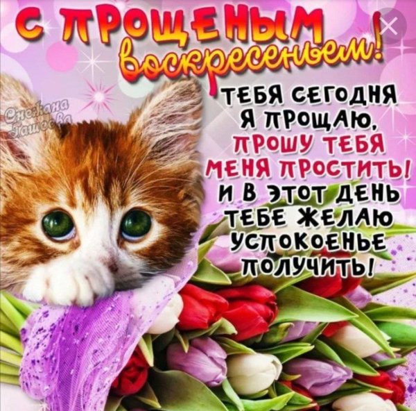 прощенное воскресенье поздравление