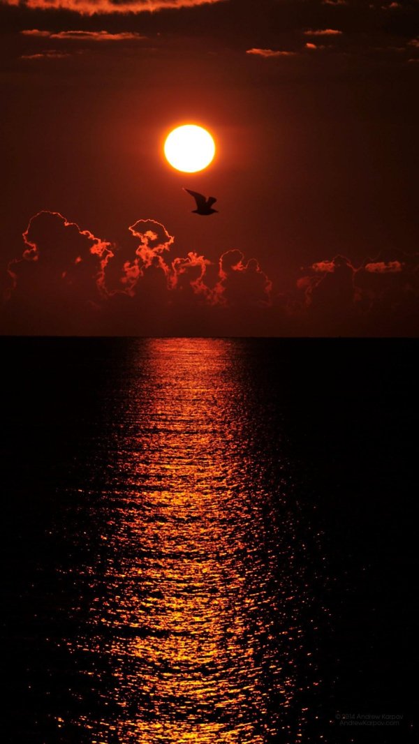 ночной закат