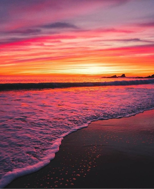 лагуна бич сша калифорния