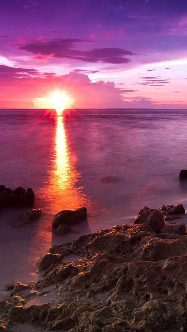 розовые закаты