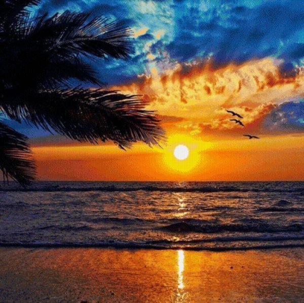 пальма на закате
